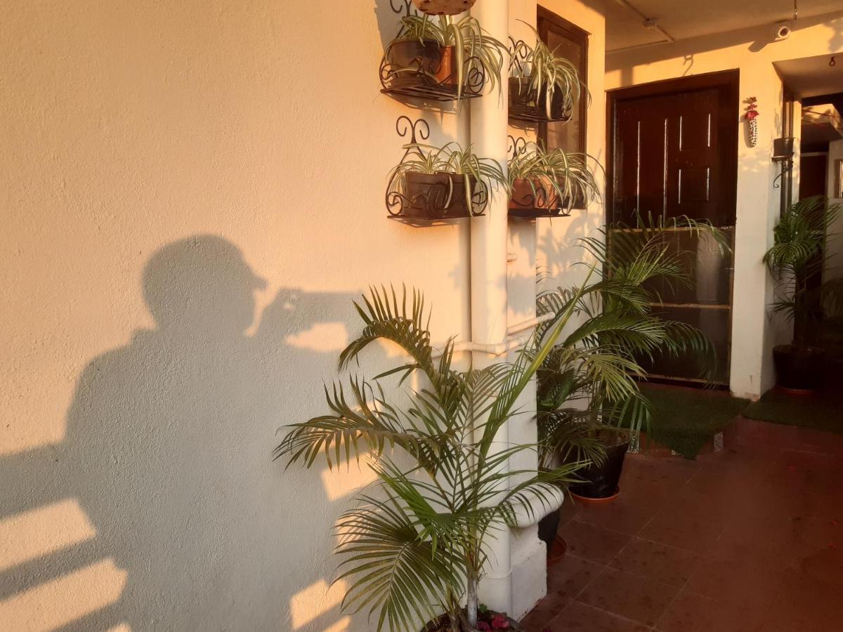 Ferienwohnung Tiny House For Couple Madikeri Exterior foto